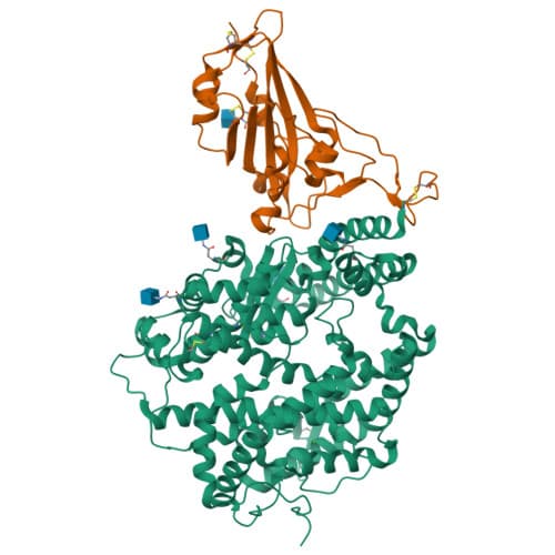 Protein structure